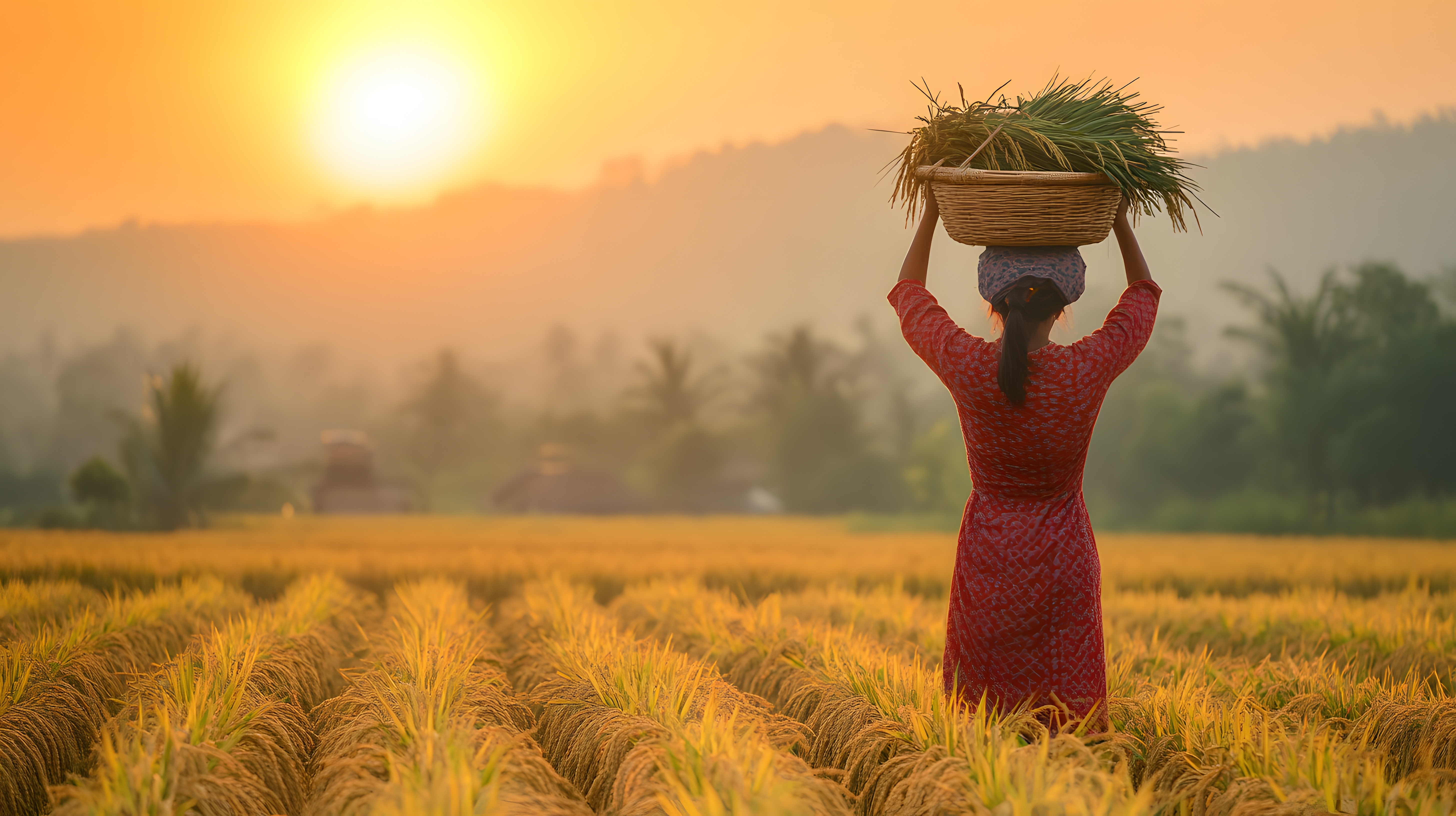 Traditional Indian cooking and preparation