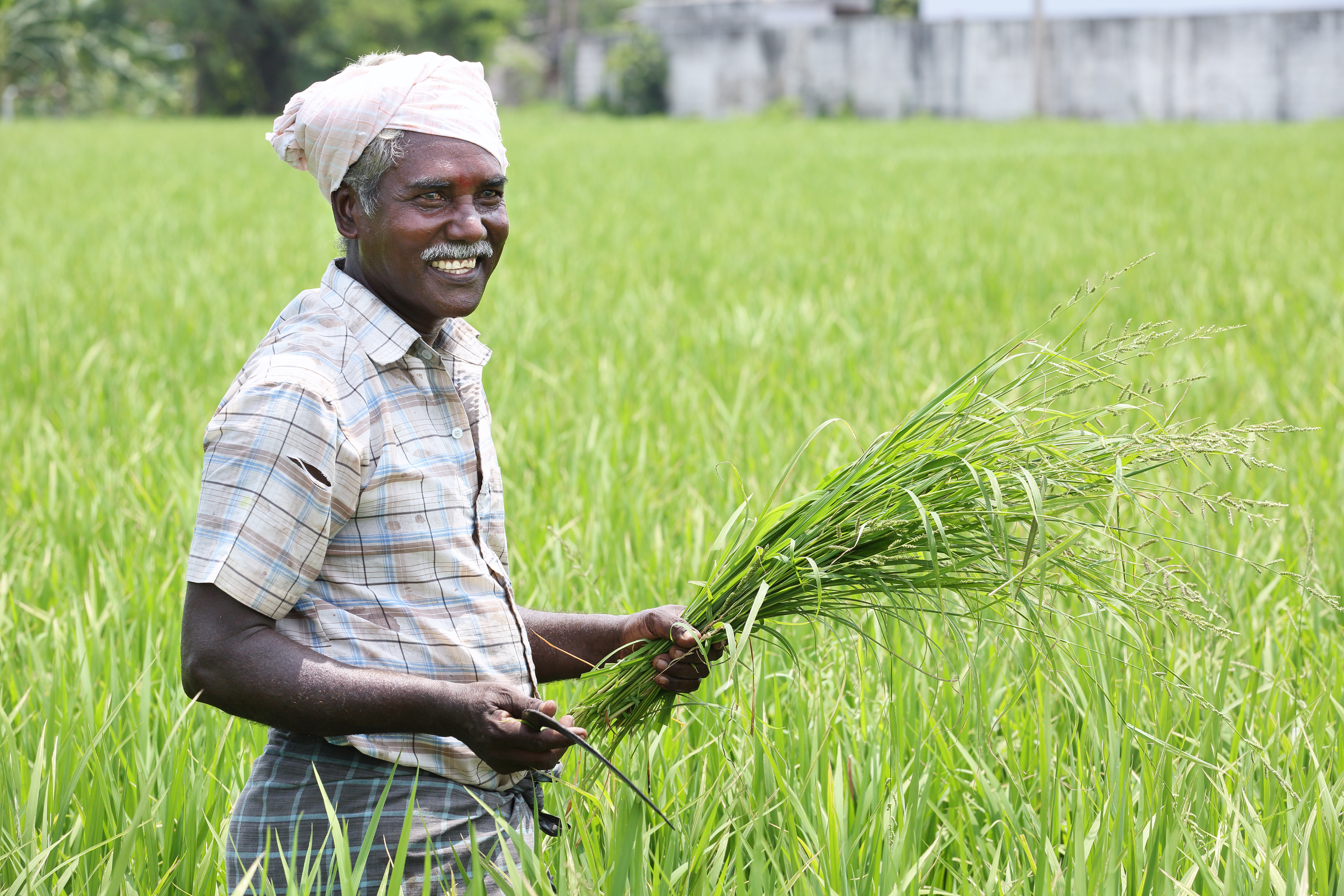 Rajesh, traditional Indian spice farmer