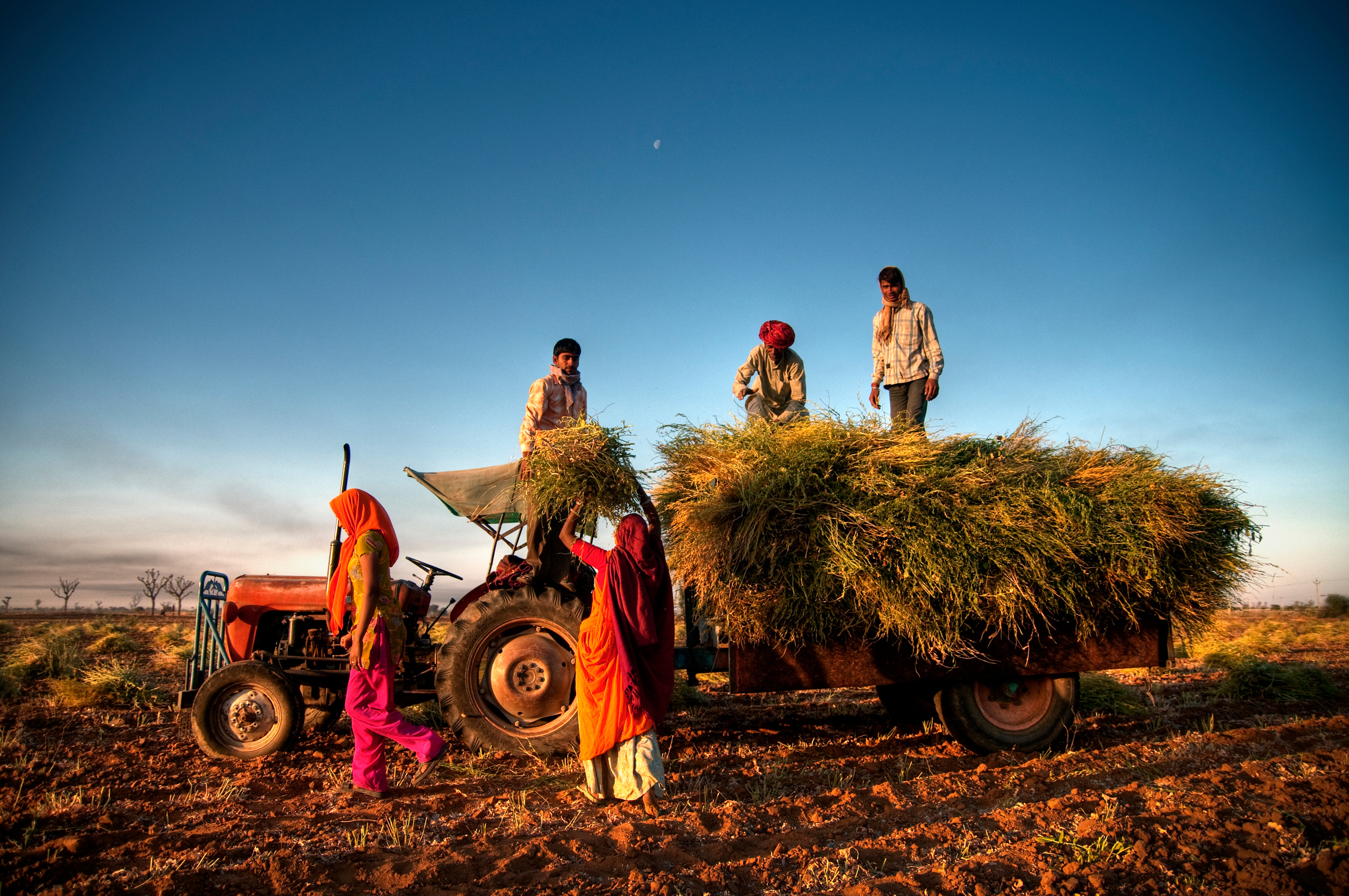 Traditional Indian seed planting